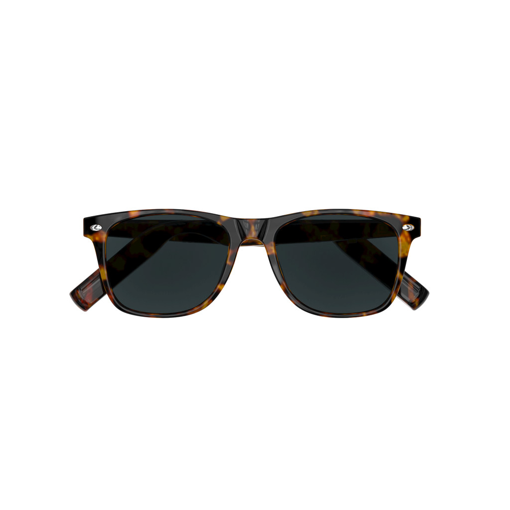 AI Smart Translator Sunglasses – Gray Tortoise Square Frame for Men & Women